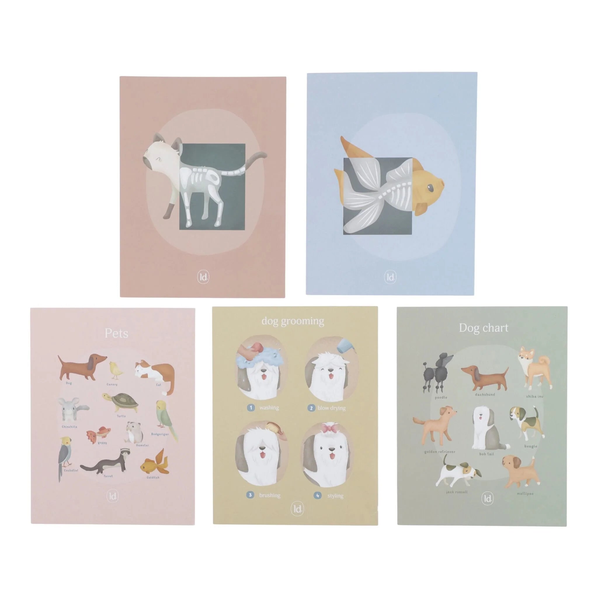 Little Dutch Tierarztpraxis