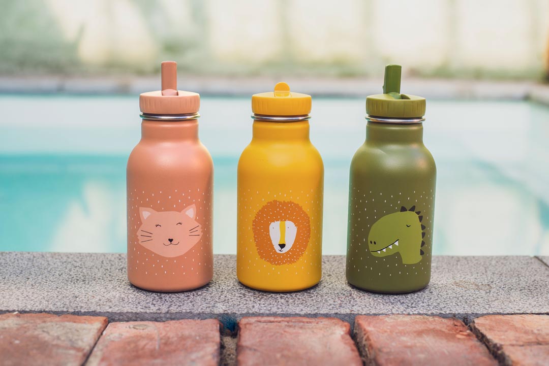 Trixie Trinkflasche 350ml - Mr. Dino