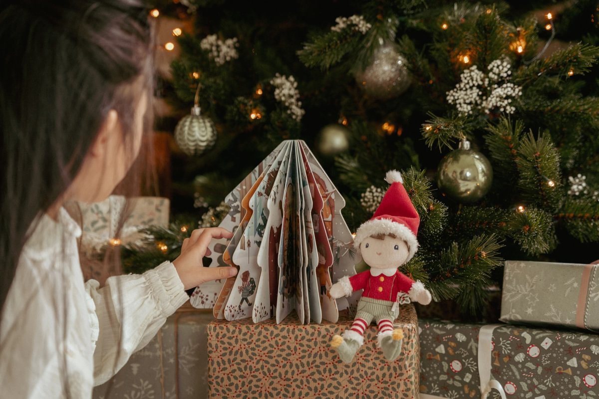 Little Dutch Weihnachtsbuch mit Jim