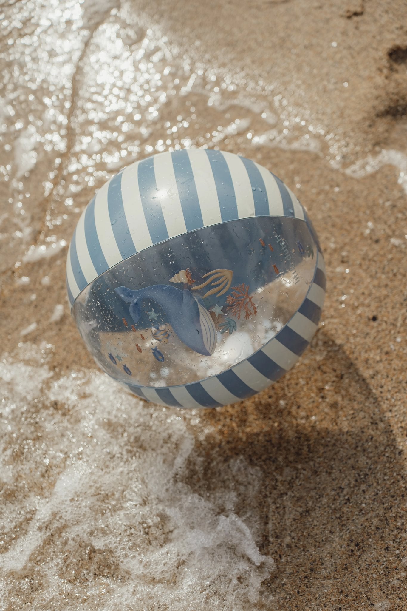 Little Dutch Beach Ball Ocean World