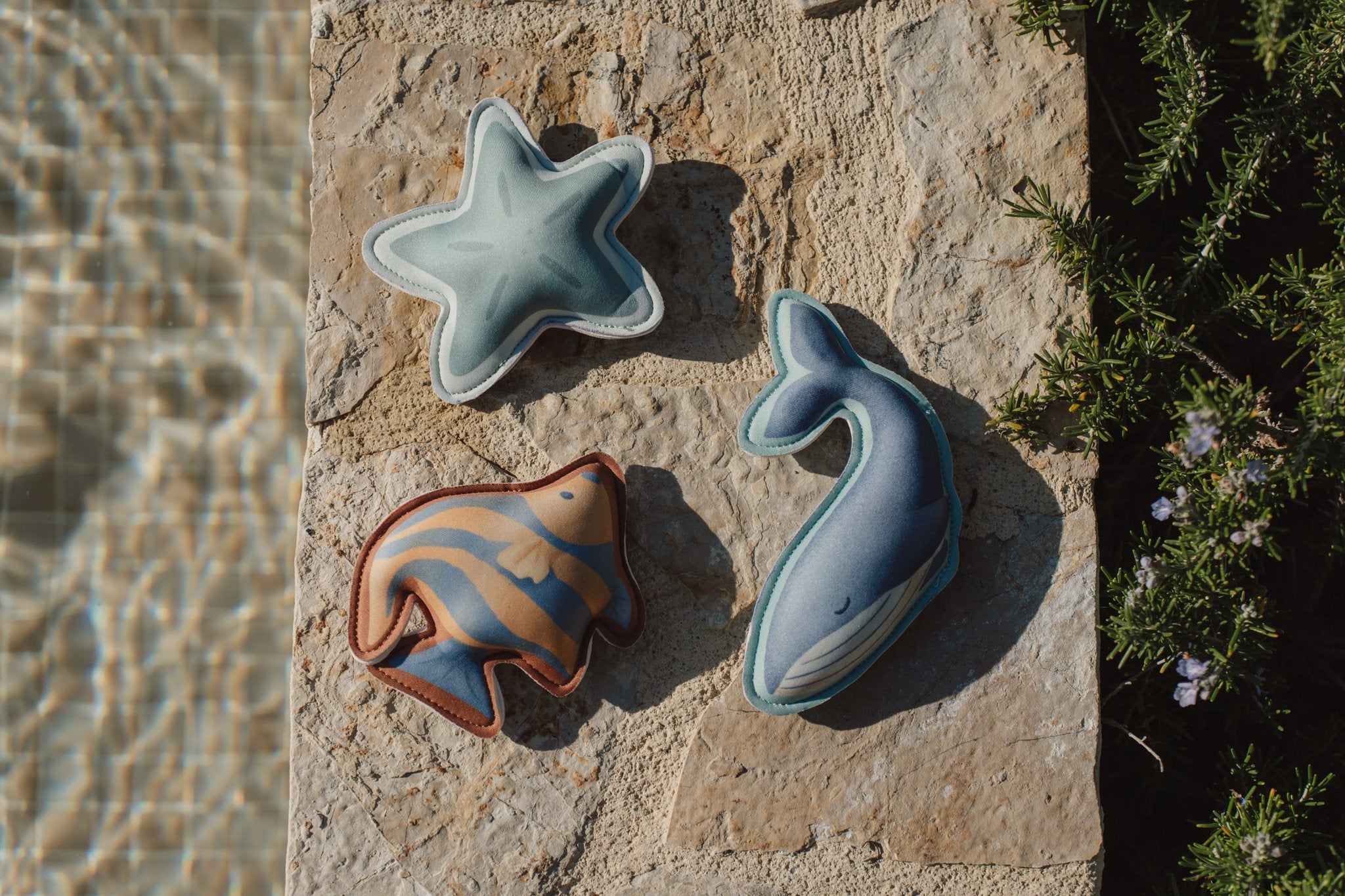 Little Dutch Tauchtiere Ocean World